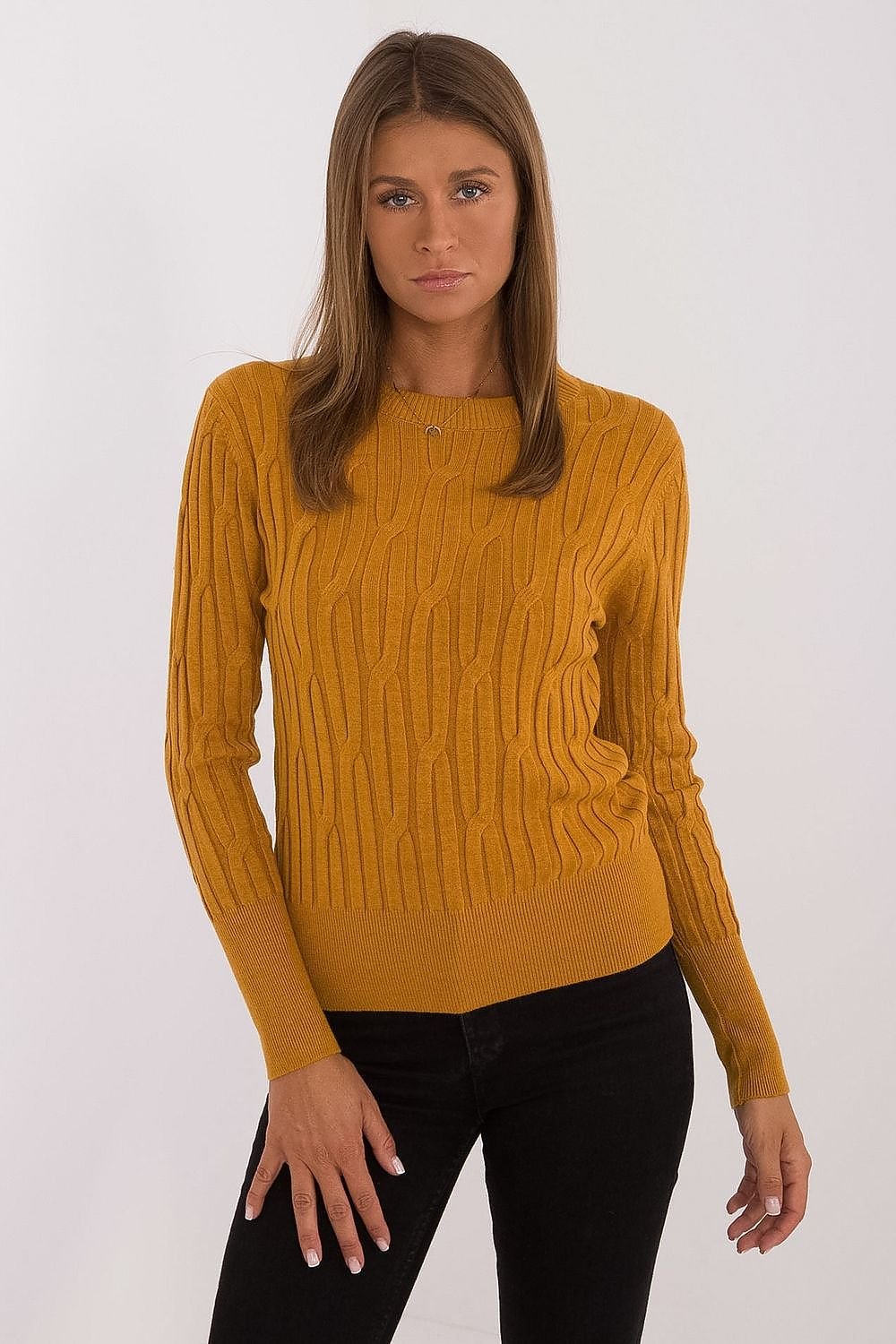 Maglione model 199757 AT