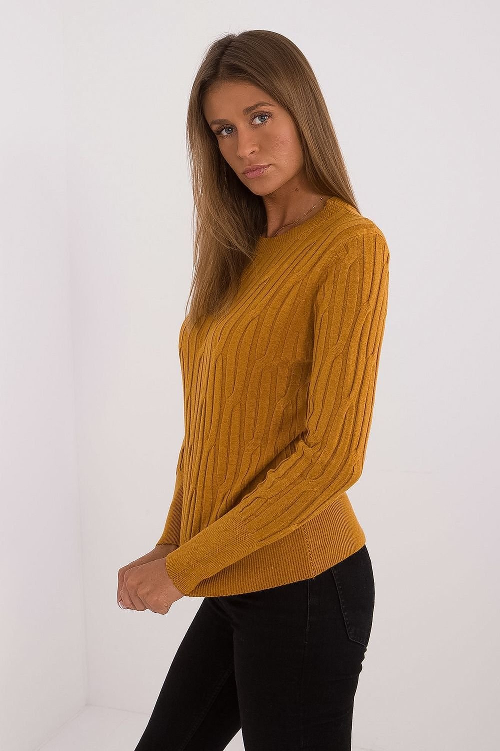 Maglione model 199757 AT