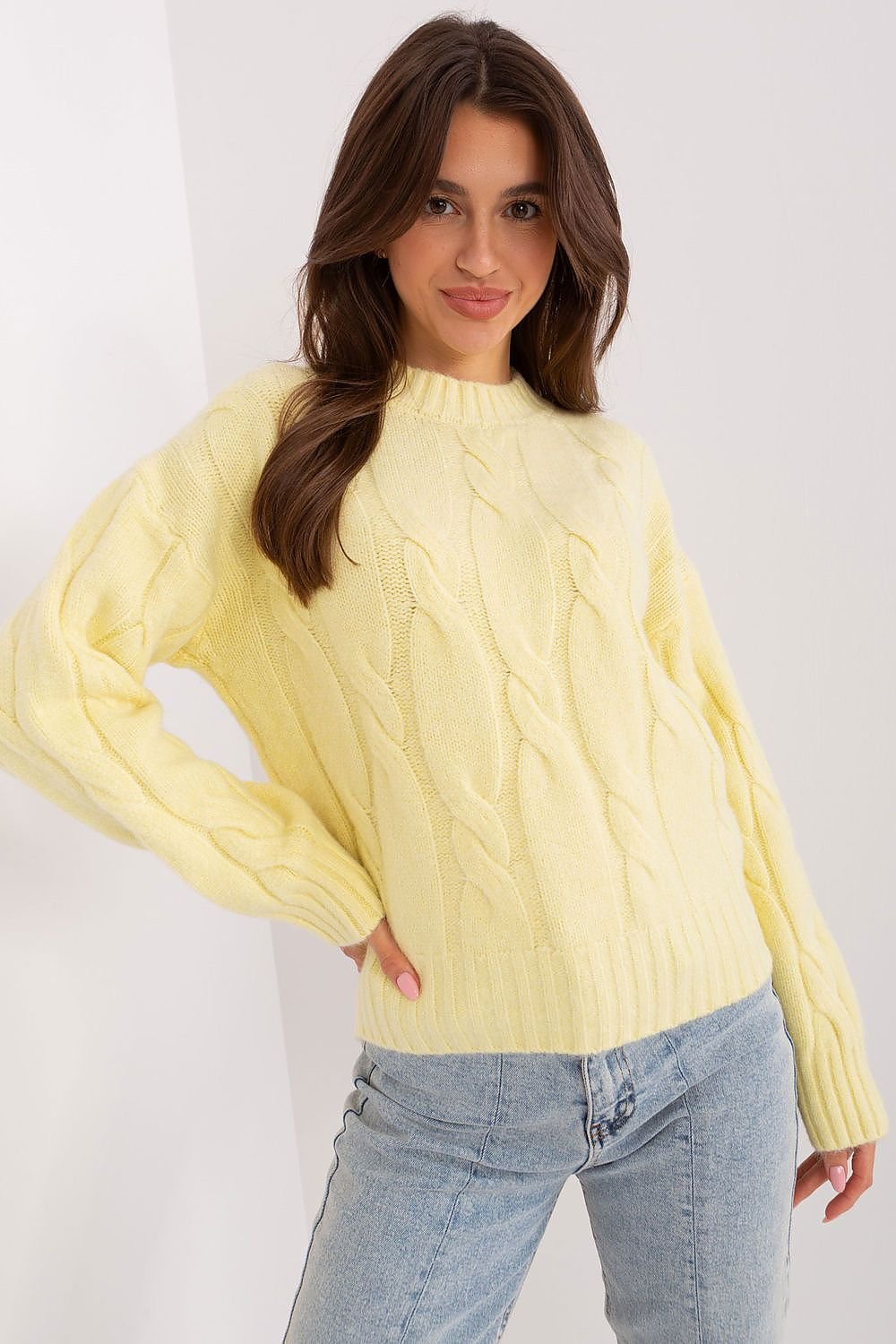 Maglione model 186554 AT