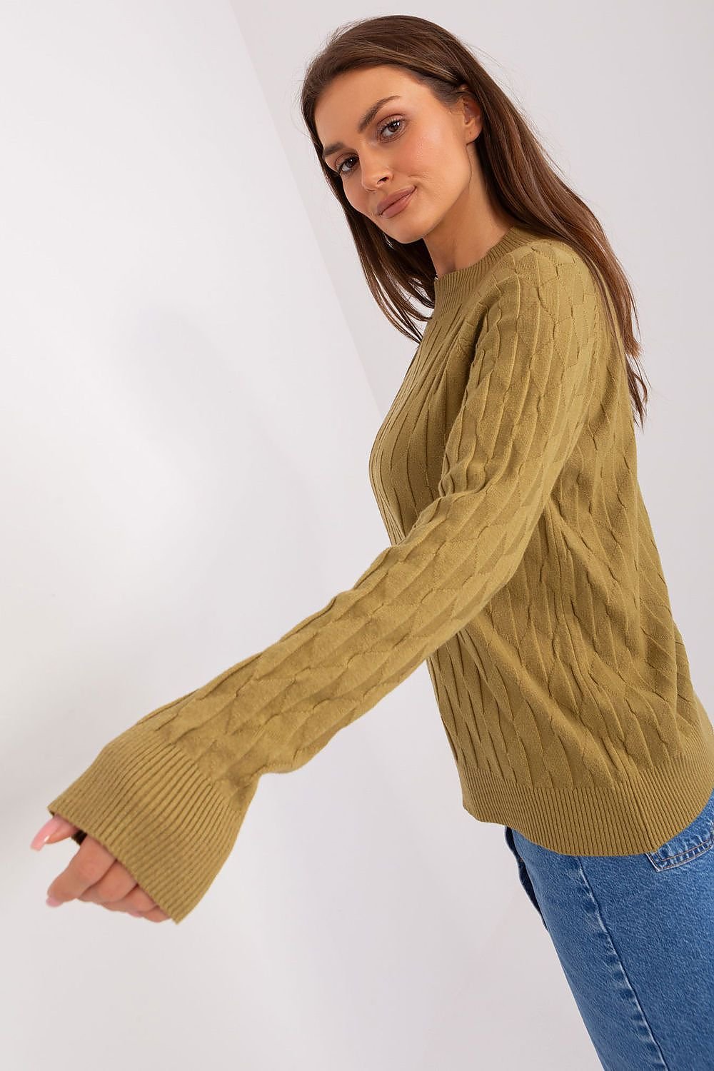 Maglione model 186833 AT